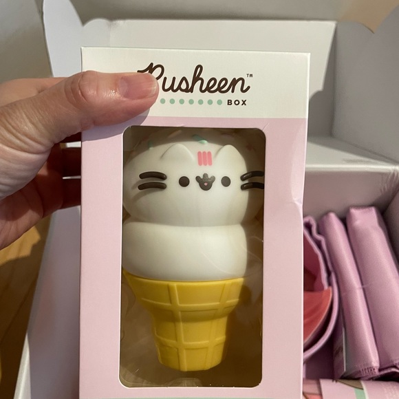New on box Pusheen summer box - Picture 7 of 16